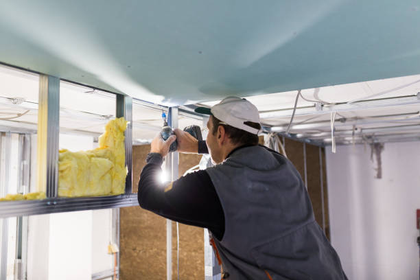 Best DIY Insulation Kits and Guidance in Sterling Ranch, CO