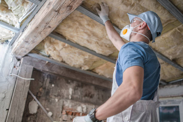 Best Insulation for Specific Applications in Sterling Ranch, CO