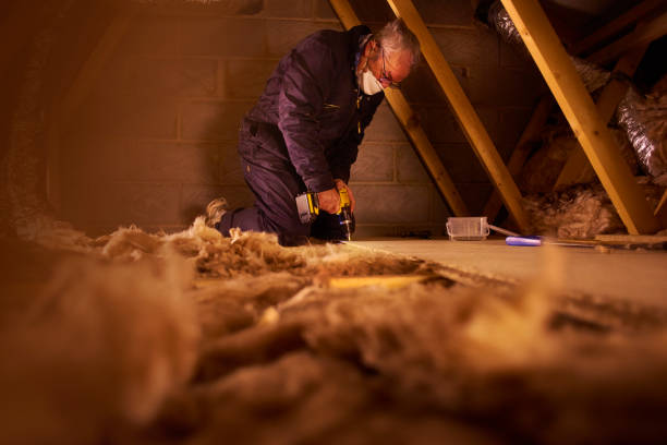 Best Geographic-Specific Insulation Services in Sterling Ranch, CO